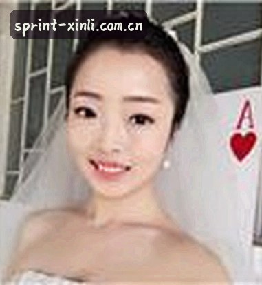刘涛