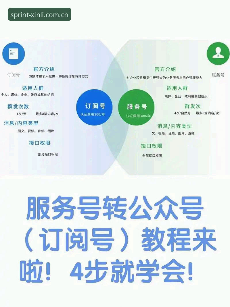 新利平台官网注册完整指南：新手快速上手与实用技巧